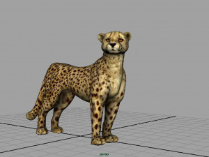 cheetah 3D Model