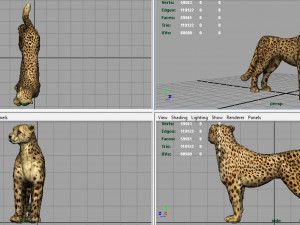 cheetah 3D Model