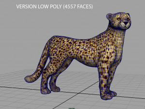 cheetah 3D Model