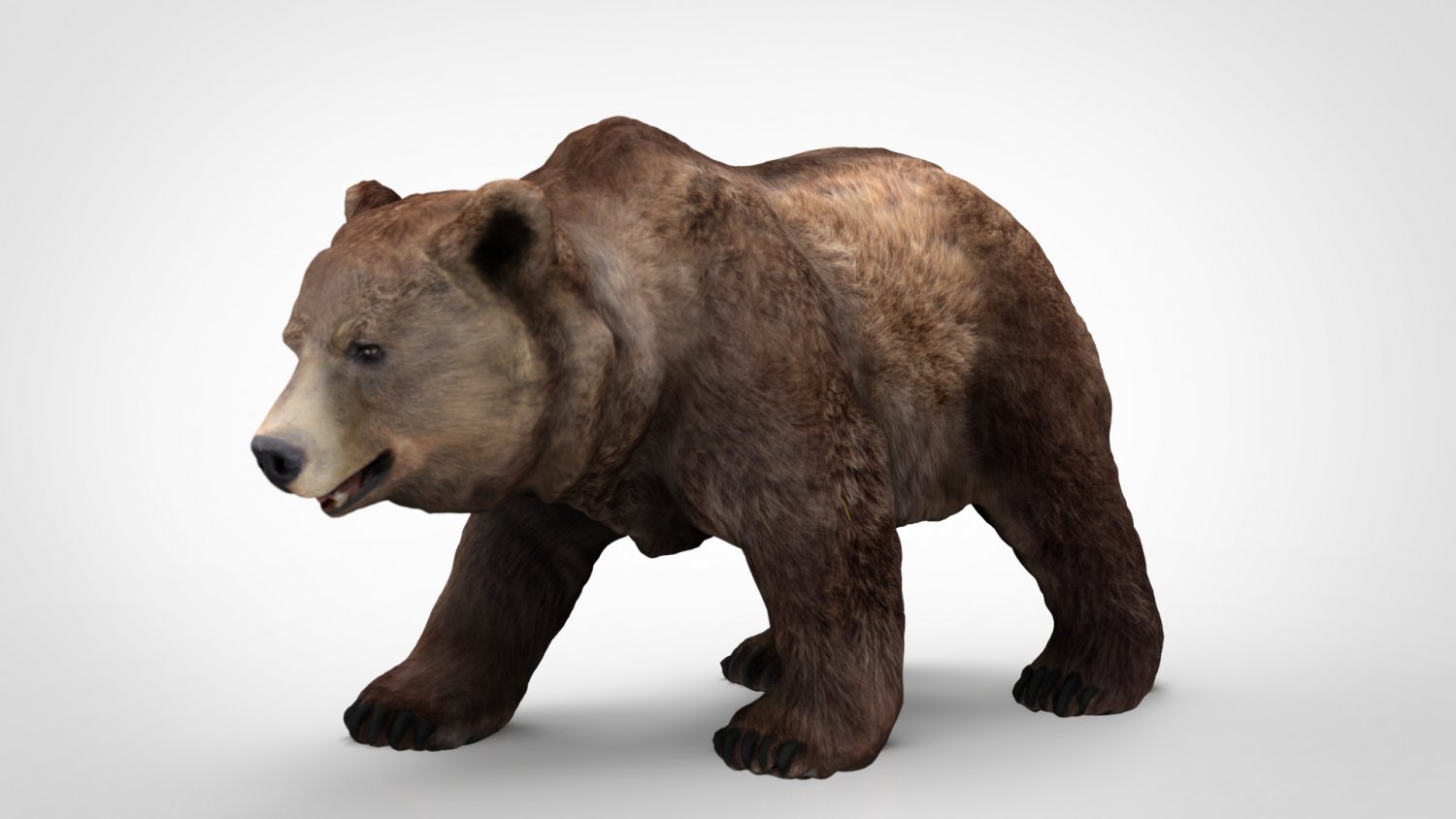 PBR Grizzly Bear - Modelling