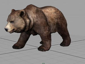 grizzly bear 3Dモデル