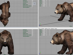 grizzly bear 3Dモデル