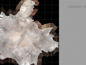 grizzly bear 3Dモデル