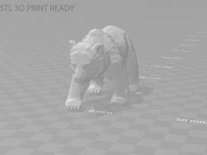 grizzly bear 3Dモデル