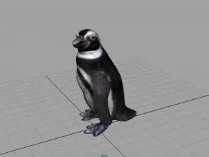 pinguino Modello 3D