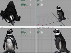 penguin 3D Model