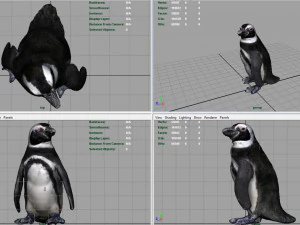 pinguino Modello 3D