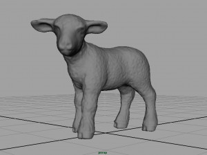 sheep Model 3D