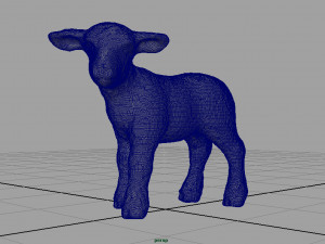 sheep Model 3D