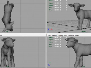 sheep Model 3D