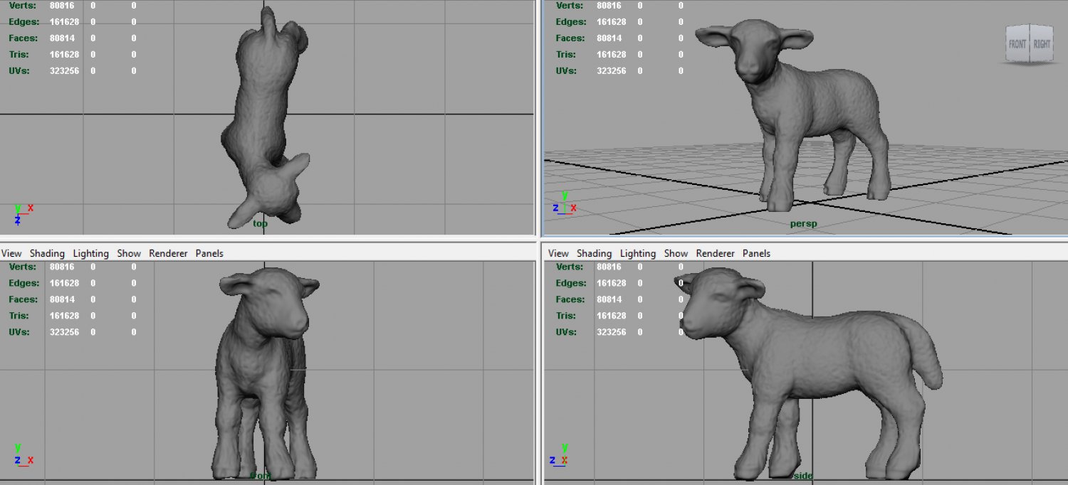 Sheep 3d Model In Sheep 3dexport