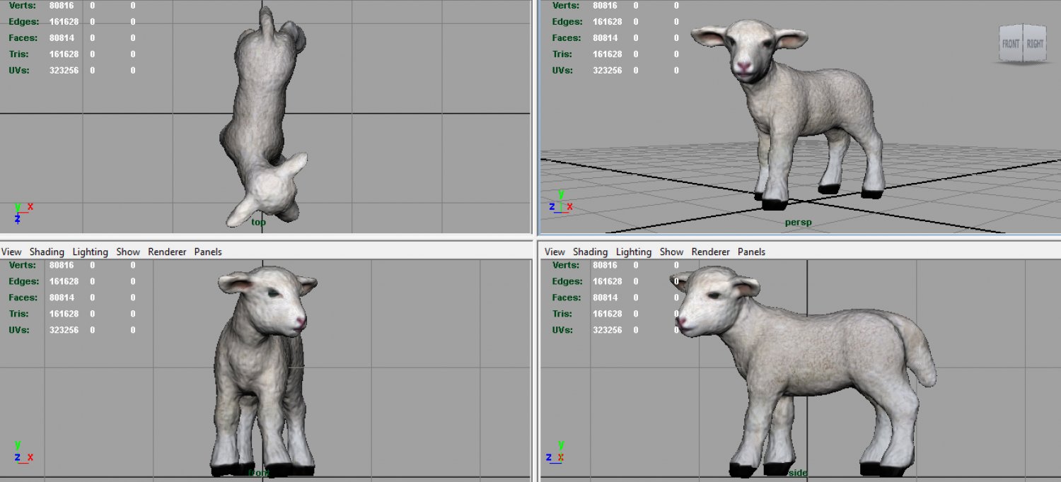 Sheep 3d Model In Sheep 3dexport