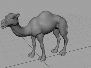 camel Modèle 3D