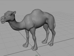 camel 3D Model