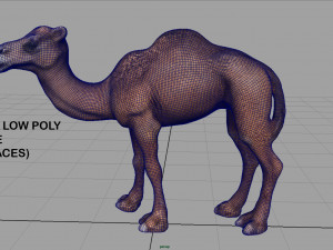 camel Modèle 3D