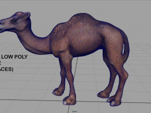 camel 3D Model