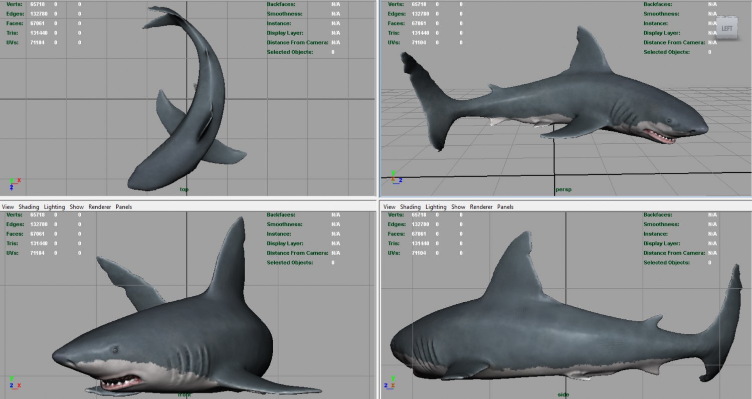 Great White Shark Model (Blender) by ScorchingKami on DeviantArt