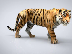 Tiger 3D Modell