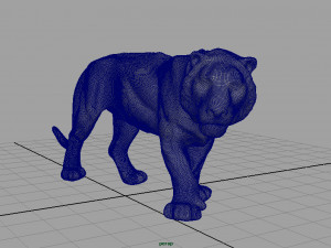 tiger 3D Model