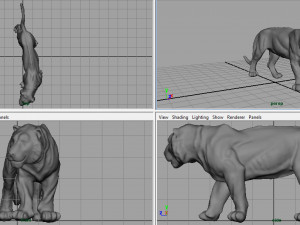 tiger 3D Model
