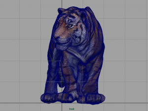 tiger 3D Model