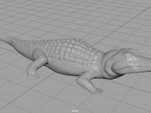 caiman Modello 3D