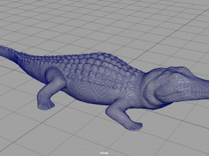 caiman Modello 3D