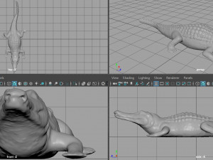 caiman Modello 3D