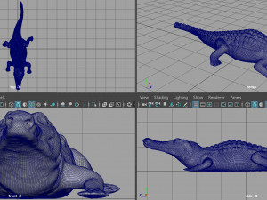 caiman Modello 3D
