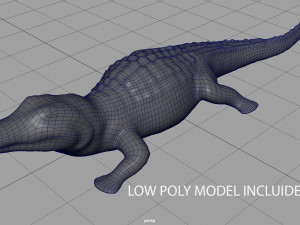 caiman Modello 3D