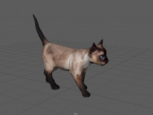 cat Modèle 3D