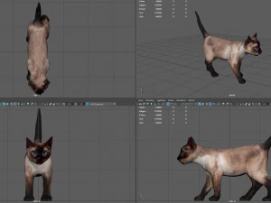 gato Modelo 3D