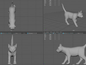 cat Modèle 3D