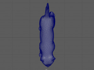 cat Modèle 3D