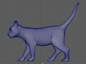 cat Modèle 3D