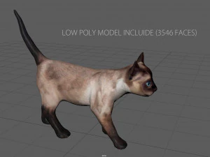 gato Modelo 3D