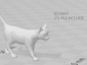 cat Modèle 3D