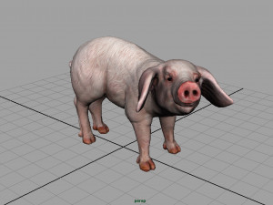 pig 3D मॉडल