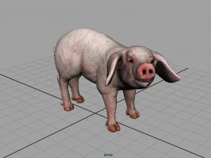 świnia Model 3D