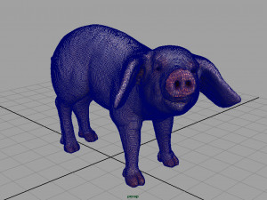 pig 3D मॉडल