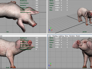 pig 3D मॉडल