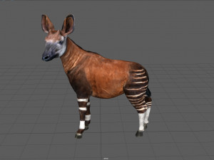 okapi 3D-Modell