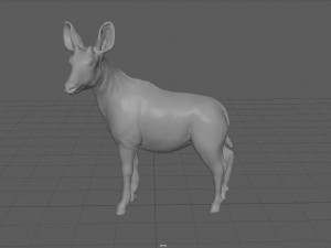 okapi 3D-Modell