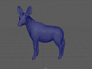 okapi 3D-Modell