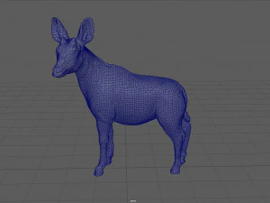 okapi 3D Model