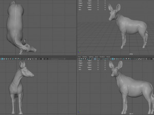 okapi 3D-Modell