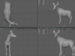 okapi 3D Model