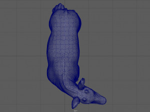 okapi 3D-Modell