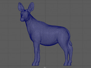 okapi 3D-Modell