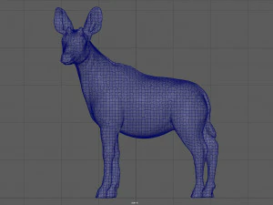 okapi 3D Model
